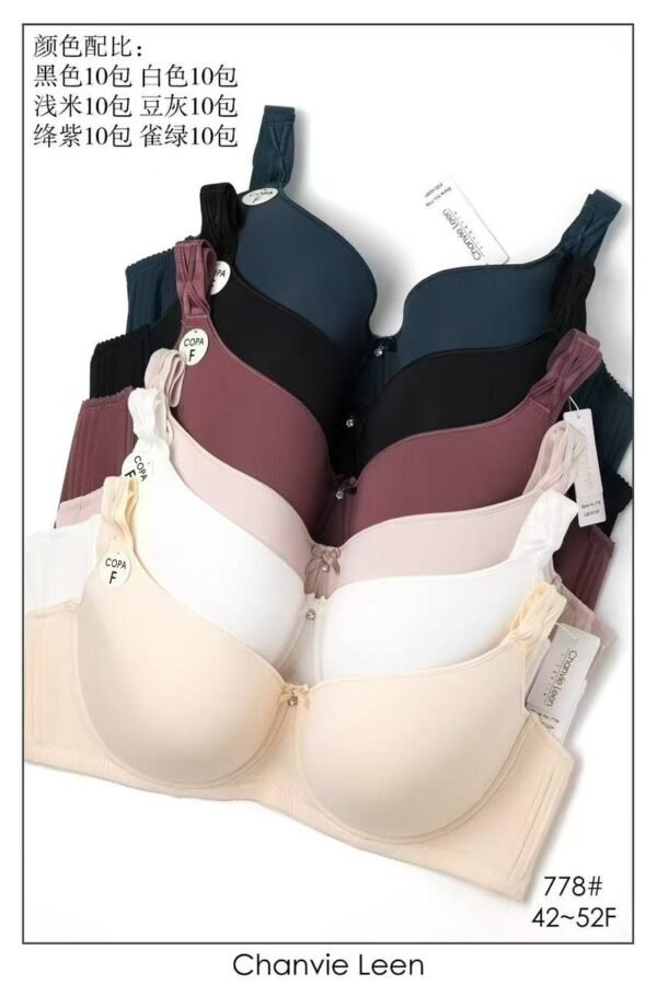 Plus Size Bras – Set of 2 – Cup F (Sizes 42 to 52)