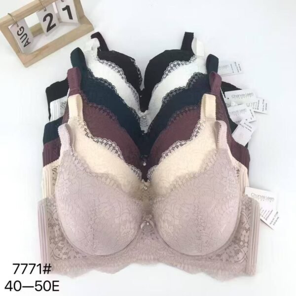 Plus Size Bras – Set of 2 – Cup E (Sizes 40 to 50)