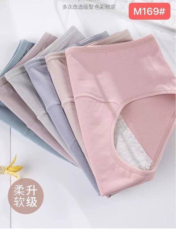 Leakproof Period Panties – 6 Pieces Set